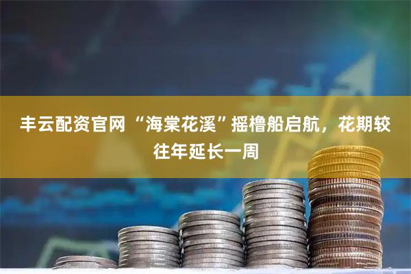丰云配资官网 “海棠花溪”摇橹船启航，花期较往年延长一周