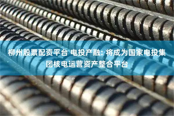 柳州股票配资平台 电投产融: 将成为国家电投集团核电运营资产整合平台